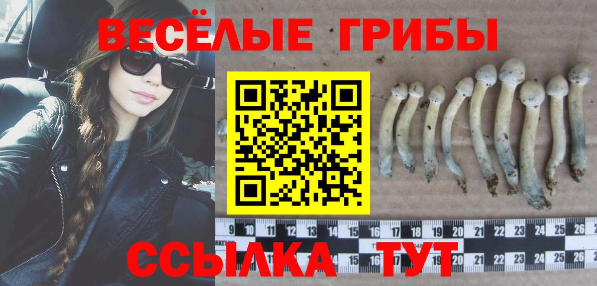 Галлюциногенные грибы GOLDEN TEACHER  Вход с VPN  Вязьма 